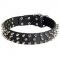 Leather Amstaff Collar with 3 Rows of Nickel Spikes