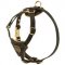 Tracking Walking Walking Leather Amstaff Harness for Puppies