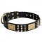 Spiked Leather Amstaff Collar with Plates and Cones