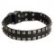 New Leather Amstaff Collar - Fashion Exclusive Design - "Caterpillar"