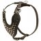 Adjustable Leather Amstaff Harness Studded for Fashion Walking