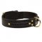 Incredible Design Amstaff Braided Leather Collar