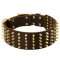Wide Spiked Leather Amstaff Collar