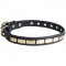 Amstaff Leather Collar Brass Plates 25 mm