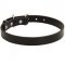 Amstaff Leather Dog Collar 1 inch Wide