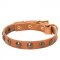 Leather Amstaff Collar with Brass Half-Ball Studs