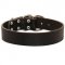 Wide Leather Amstaff Collar for Training and Walking