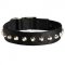 Exclusive Nylon Amstaff Collar with Awesome Nickel Cones