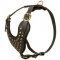 Adjustable Studded Leather Amstaff Harness for Fashion Walking