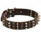 Amstaff Spikes and Studs Rows Leather Dog Collar