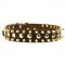 Spiked and Studded Amstaff Leather Collar