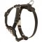 Studded Leather Amstaff Puppy Harness