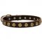 Leather Amstaff Collar with Brass Dotted Circles for Fashion Walking