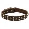 Leather Amstaff Collar With Studs and Pyramids