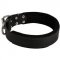 Amstaff Durable Padded Leather Collar 40 mm