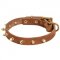 Walking Designer Leather Amstaff Collar with Brass Spikes