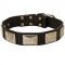 Leather Amstaff Collar with Large Nickel Plates