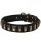 Amstaff Leather Collar with Shiny Plates