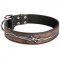 Handpainted Leather Amstaff Collar with Barbed Wire Drawing