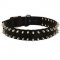 Amstaff Nylon Collar Spiked