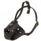 Everyday Leather Amstaff Muzzle for Training