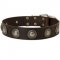 Leather Amstaff Collar Decorated with Silver Conchos