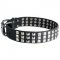 Leather Amstaff Collar with 3 Rows of Nickel Pyramids