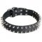 Leather Amstaff Collar with 2 Rows of Nickel Spikes