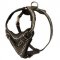 Painted Leather Amstaff Harness for Walking and Training