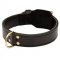 Training 2 Ply Leather Amstaff Collar