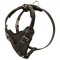 Protection Leather Amstaff Harness for Attack / Agitation Dog Training