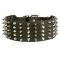 Amstaff Leather Collar Spiked and Studded