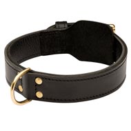 Training 2 Ply Leather Amstaff Collar