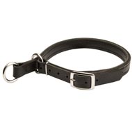Amstaff Leather Choke Collar