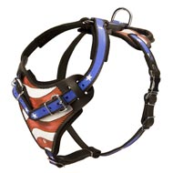 American Flag Painted Leather Amstaff Harness for Agitation Training