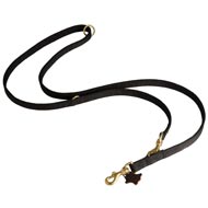 Nylon Amstaff Leash for Patrolling, Walking and Training