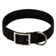 2 Ply Nylon Amstaff Collar