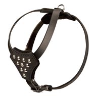 Designer Leather Amstaff Harness with Adjustable Straps for Puppy Walking and Training