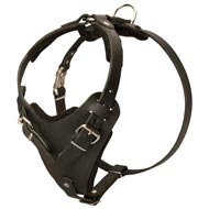 Protection Leather Amstaff Harness for Attack / Agitation Dog Training