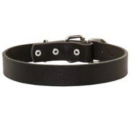 Amstaff Leather Dog Collar For Pleasant Wearing