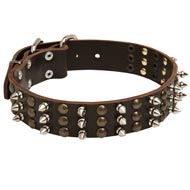 Amstaff Spikes and Studs Rows Leather Dog Collar