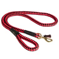 Nylon Cord Amstaff Leash for Walking and Training