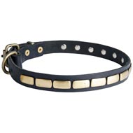 Amstaff Leather Collar Brass Plates 25 mm
