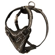 Painted Leather Amstaff Harness for Walking and Training