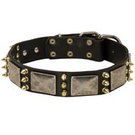 Amstaff Spiked Leather Collar with Nickel Plates