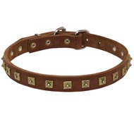 Handcrafted 1 Row Square Studded Leather Amstaff Collar