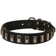 Amstaff Leather Collar with Shiny Plates