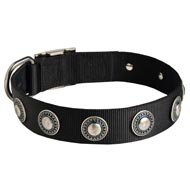 Amstaff Nylon Dog Collar with Circles Decoration
