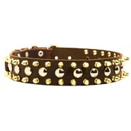 Spiked and Studded Amstaff Leather Collar