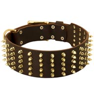 Wide Spiked Leather Amstaff Collar